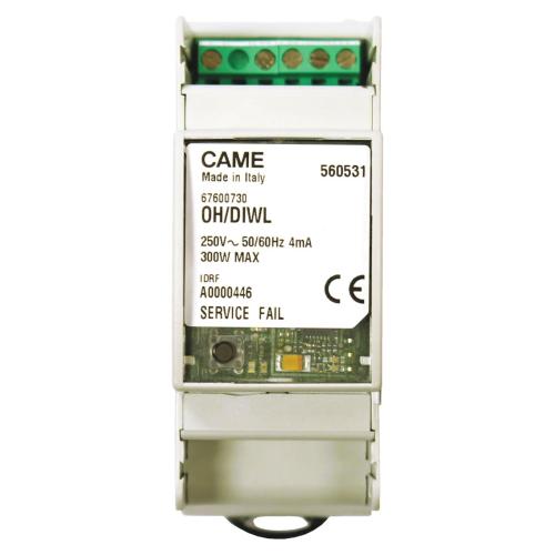 CAM67600730