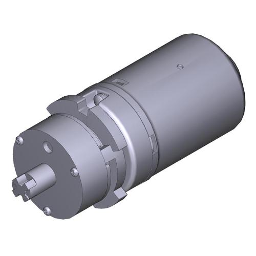 CAM88001-0137