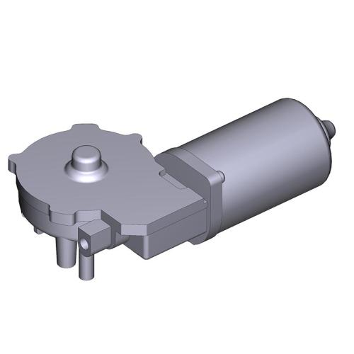 CAM88001-0218