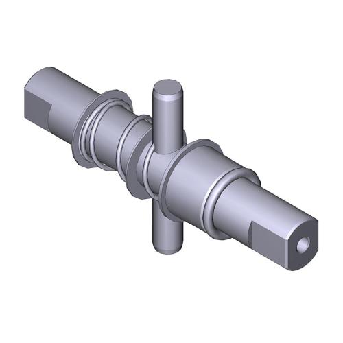 CAM88001-0247
