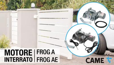Potenza Nascosta Offerta Visibile CAME FROG in Promo!